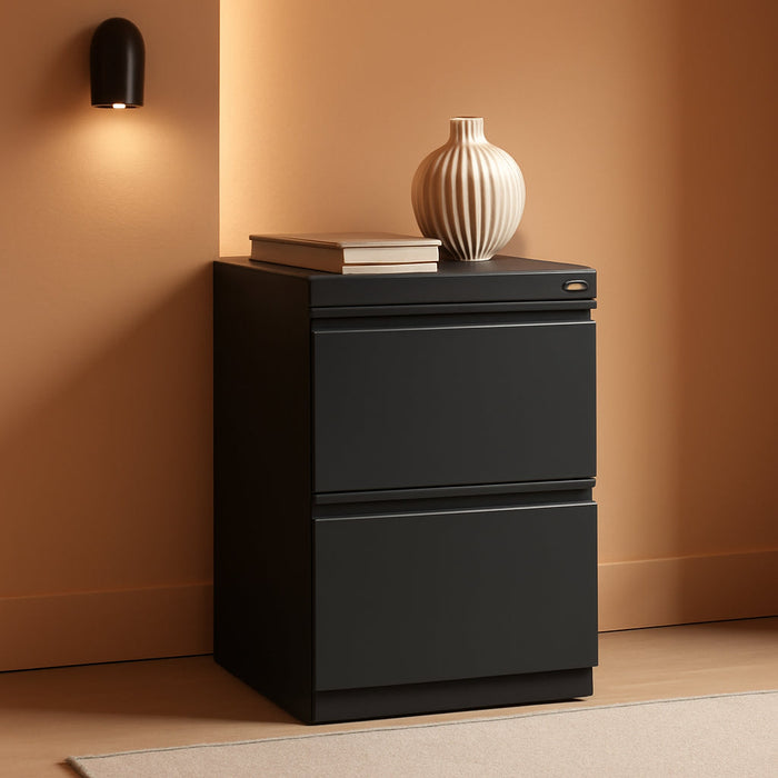2 Drawers 27.75" Vertical Charcoal Metal Filing Cabinet Lockable Pre-Assembled Stationary Letter Size for Home, Office