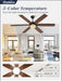 60 Inch Contemporary Ceiling Fan Silent Performance