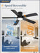Sleek Black 48 Inch Flushmount Ceiling Fan Lighting