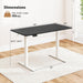 Electric Standing Desk, 48" X 24" Height Adjustable Sit Stand Computer Workstation with 2 Memory Heights, Headphone Hook, Anti-Collision Design, Home Office Computer Desk (Black+White)