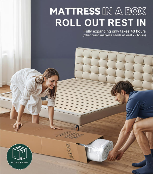 Queen Mattress 14 Inch, Medium Firm Hybrid Mattress Memory Foam Individually Wrapped Pocket Coils, Excellent Edge Support, Zone Support for Back Pain Relief, Fiberglass-Free Mattress in a Box