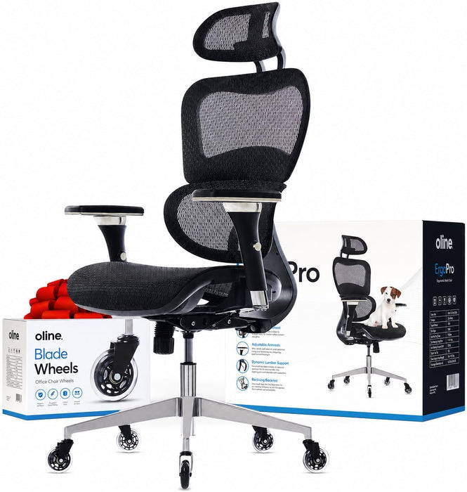 Ergopro Ergonomic Office Chair, Rolling Desk Chair with 4D Adjustable Armrest, 3D Lumbar Support, Blade Wheels, Mesh Computer Gaming Executive Swivel Chairs Chair (Black)