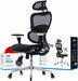 Ergopro Ergonomic Office Chair, Rolling Desk Chair with 4D Adjustable Armrest, 3D Lumbar Support, Blade Wheels, Mesh Computer Gaming Executive Swivel Chairs Chair (Black)