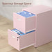 2 Drawer File Cabinet with Lock,Pink Metal Filing Cabinets,Vertical Locking File Cabinet Fit Hanging Files, Letter,File Box and A4 Documents(Pink)