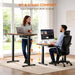 Height Adjustable Electric Standing Desk, 48 X 24 Inches Sit Stand up Desk, Memory Computer Home Office Gaming Desk with 3 Preset Heights, Cable Management Box,2 Hooks & 4 Velcro Cable Tie, Brown