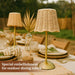 12 Inch Rattan Cordless Table Lamp, without Bow, Gold, 4 Pack