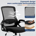 Ergonomic Office Chair Desk Chair with Adjustable Lumbar Support