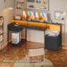 55" Computer Desk with File Drawer, Printer Space, Dark Black
