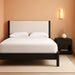 Signature Design by Ashley Cadmori Modern Queen Upholstered Platform Bed, Foundation or Box Spring Not Needed, Black & White