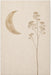 Arvelo Moon Canvas Wall Art, Neutral Celestial Decor for Bedroom & Living Room, Ready to Hang