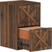Wood Filing Cabinet, 2 Drawer File Cabinet for Home Office