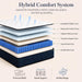 Queen Mattress 12 Inch, Medium Hybrid Queen Size Mattress in a Box, 80X60