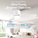 Modern Ceiling Fan with LED Light DC Motor Large Air Volume Remote Control for Kitchen Bedroom Dining Room Patio