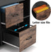 Rolling 2-Drawer Filing Cabinet with Printer Stand