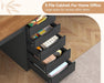 2 Person Desk with 5 Drawers and Power Outlets, 78.7 Inch Long Computer Desk with Storage File Cabinet, Two Person Home Office Double Desk with Storage, Brown and Black