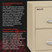 Fireproof Vertical File Cabinet (2 Letter Sized Drawers, Impact Resistant, Water Resistant), 27.75" H X 17.75" W X 25.06" D, Parchment