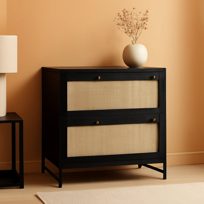 2 Rattan Drawer File Cabinet with Lock, Lateral Filing Cabinet with Adjustable Hanging Bar for Letter, A4 and Legal Size Files, Printer Stand for Home Office, Black