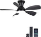 36Inch Black Low Profile Ceiling Fans with Lights and Remote/App Control, Reversible DC Motor, 6 Speeds, Modern Flush Mount Ceiling Fan with 5 Blades for Outdoor Patio,Small Room,Bedroom