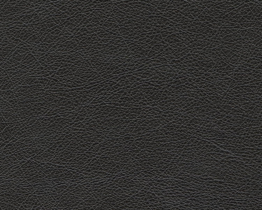 Amiata Contemporary Firmly Cushioned Leather Rectangular Ottoman, Black