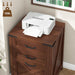Vertical File Cabinet with 3 Drawers for Home Office, Walnut