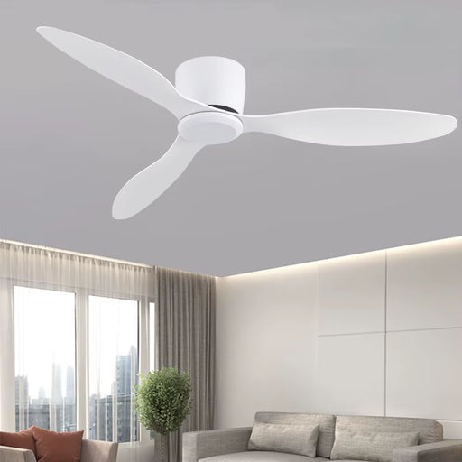 -Ceiling Fans with Remote Control, Low Floor DC Motor, Simple Fan without Light, Home Fan Voltage 90-260V, 30W