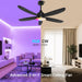 Ceiling Fan with Light, Remote & APP Control, 42" Black RGB Ceiling Fans with 6 Reversible Speeds, 3000-6500K Stepless Dimming, Modern Small Low Profile Ceiling Fan for Bedroom/Indoor/Outdoor
