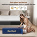 Full 10 Inch Hybrid Mattress in a Box, Medium-Firm, Memory Foam with Individually Pocketed Coils, Zoned Support, Motion Isolation, Certipur-Us Certified