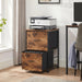 Mobile Printer Stand with 2 Drawers, File Cabinet for Home Office