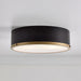 Irving Park 2-Light Flush Mount, Matte Black Finish, Burnished Brass Accents, Frosted Glass Shade, LED Bulbs Included