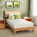 EGOHOME 8 Inch Twin Mattress Medium Plush, Green Tea Memory Foam Mattress