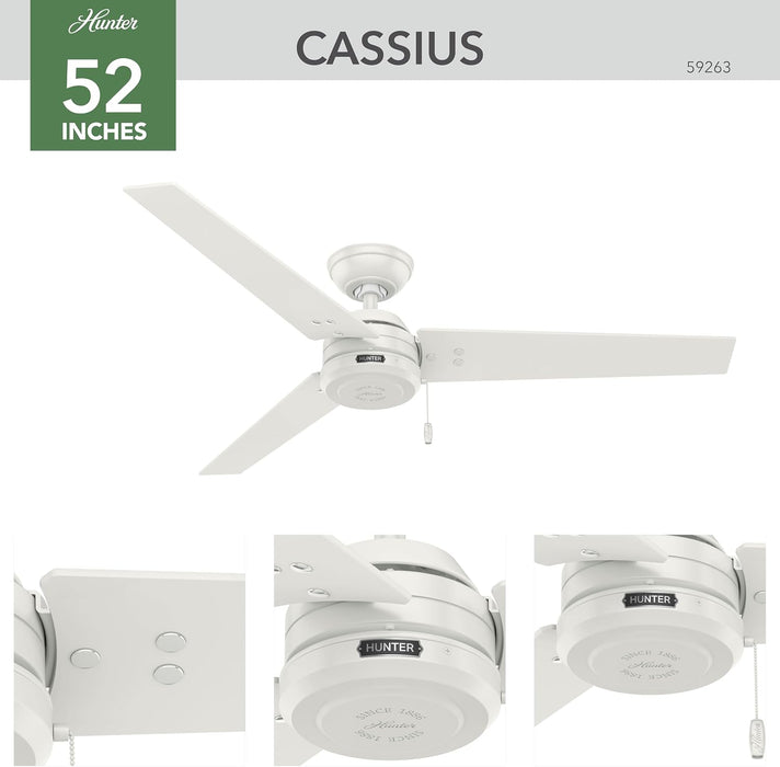 Cassius 52 Inch Contemporary Indoor Outdoor Ceiling Fan