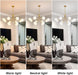 Gold Modern Chandelier 12-Light Glass Globe Ceiling Light Fixtures Mid Century Modern Sputnik Chandelier for Dining Room Kitchen Island Bedroom Living Room