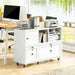 2 Drawer Mobile File Cabinet with Lock,Metal Lateral Filing Cabinet with Shelves,Printer Stand with Storage