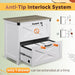 2 Drawer Lateral File Cabinet WhiteLockingSystemA4