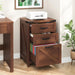 Vertical File Cabinet with 3 Drawers for Home Office, Walnut