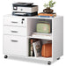 Rolling 3-Drawer File Cabinet with Printer Stand