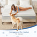 12 Inch Queen Foam Mattress Cooling Gel Memory for Pressure Relief & Deep Sleep, Medium Firm with Motion Isolation, Certipur-Us Certified, Fiberglass Free