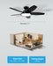 Contemporary 42 Inch Anthracite Indoor Ceiling Fan