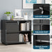 2 Drawer File Cabinet with Lock, Metal Lateral Rolling Printer Stand Filing Cabinets with Drawers for Home Office,A4, Letter Size File Folders(Black)