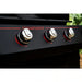 3-Burner Propane Gas Grill in Black