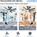 Ceiling Fan with Light & Remote Indoor/Outdoor Use 52 Inch Black
