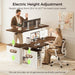 Farmhouse 55 Inch Electric Standing Desk with Storage, Walnut+White