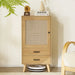 Rattan 1-Door Cabinet