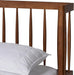 Calderon Retro-Modern Walnut Brown Finished Wood Queen Size Platform Bed