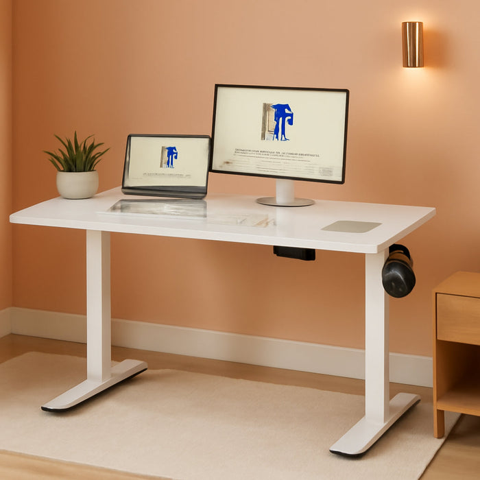 EN1 One-Piece Standing Desk, 48 X 24 Inches Solid Desktop Height Adjustable Desk, Electric Sit Stand up Desk Home Office Desks (White Frame + White Desktop)