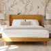 Queen Size Solid Wood Bed Frame with Wingback Headboard, Walnut Brown Finish, Platform Bed Frame, No Box Spring Required