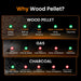 Electric Wood Pellet Grill Smoker with PID 3.0 Controller, 450°F Max Temperature, 8-In-1 Outdoor Grill & Smoker, 459 Square Inches Cook Area, Meat Probes, Rain Cover (450E PRO)
