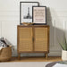 Emily 31'' Tall 2 - Rattan Door Accent Cabinet with Solid Wood Legs