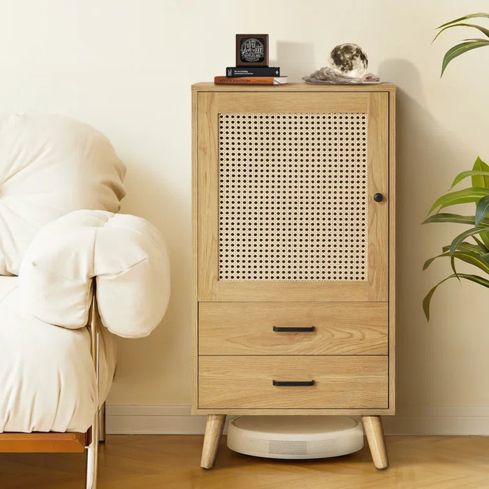 Rattan 1-Door Cabinet