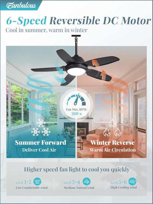 42 Inch Waterproof Outdoor Ceiling Fan Illuminated